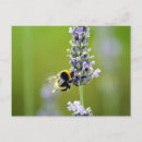 Zoek naar engelse natuur briefkaarten Wild