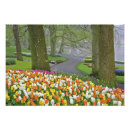 Recherche de keukenhof holland posters Fleur