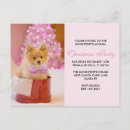 Recherche de noël mignon cartes postales Petit chien
