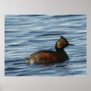 Recherche de aquatique art Photographie de la nature