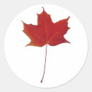 Recherche de citoyen autocollants Patriotique