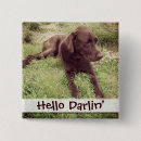 Recherche de chocolat labrador badges Laboratoire de chocolat