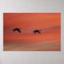 Recherche de apaches art Coucher de soleil
