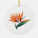 Recherche de fleurs exotiques ornements Illustration