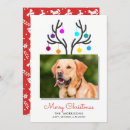 Recherche de antler christmas vœux cartes Dog