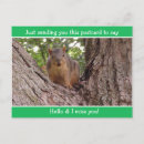 Recherche de funny squirrel posters Mignon