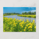 Recherche de inspirantes cartes postales Jaune