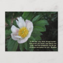 Recherche de compassion cartes postales Bouddhiste