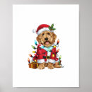 Zoek naar labradoodle meer kunst Puppy