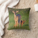 Recherche de habitat coussins Larry ditto