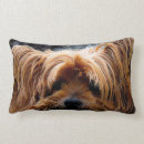Zoek naar yorkshire terriers kussens Dier