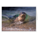 Recherche de port franc cartes postales Christopher talbot franc