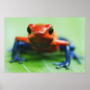 Recherche de blooded posters Dehors
