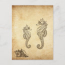 Recherche de conique cartes postales Mer
