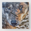Recherche de wolfs horloges Loup