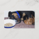 Recherche de rottweiler cartes visite Animaux