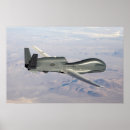Recherche de uav posters Prédateur