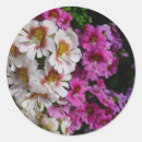 Zoek naar witte vlinder stickers Bloem