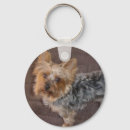 Zoek naar yorkshire terriers sleutelhangers Schattig
