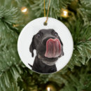 Zoek naar zwart labrador ornamenten Puppy