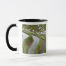 Recherche de riz tasses Ferme