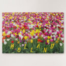 Zoek naar tulips puzzels Holland