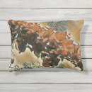 Recherche de rosier maison deco Nature
