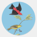 Recherche de audubon autocollants Oiseau