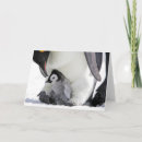 Recherche de pingouin antarctique vœux cartes Île des neiges