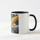 Recherche de poisson photographie Blanc
