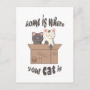 Recherche de citation drôle de chat cartes postales Chats