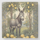 Recherche de âne dessous de verres Mule