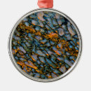 Zoek naar fossiel ornamenten Close up