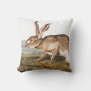 Recherche de lièvres coussins Lapin
