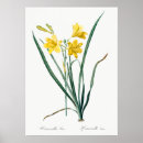 Zoek naar botanical kunst Plants