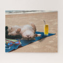 Recherche de cute puzzles Cat