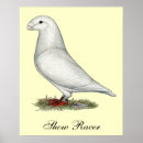 Zoek naar toon posters Vogel