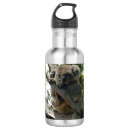Zoek naar koala waterflessen Dier