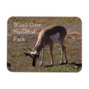 Recherche de win magnete Vacances