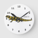 Recherche de salamandre horloges Reptile