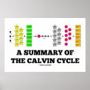 Recherche de biochimie posters Scientifique