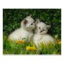 Recherche de le jardin posters Mignon