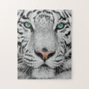 Recherche de tigre blanc puzzles Grand chat