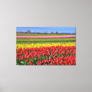 Recherche de paysage de tulipe Floral