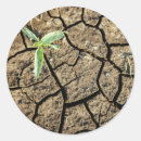 Recherche de gallo autocollants Image couleur