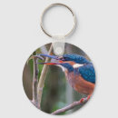 Zoek naar ijsvogels sleutelhangers Dieren in het wild