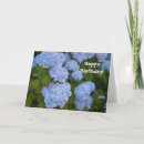 Zoek naar hydrangea hortensia kaarten Plant