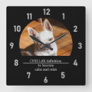 Recherche de chihuahua horloges Drôle