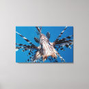 Recherche de poisson rouge toiles Animal