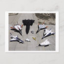 Zoek naar ramp briefkaarten Vliegtuig